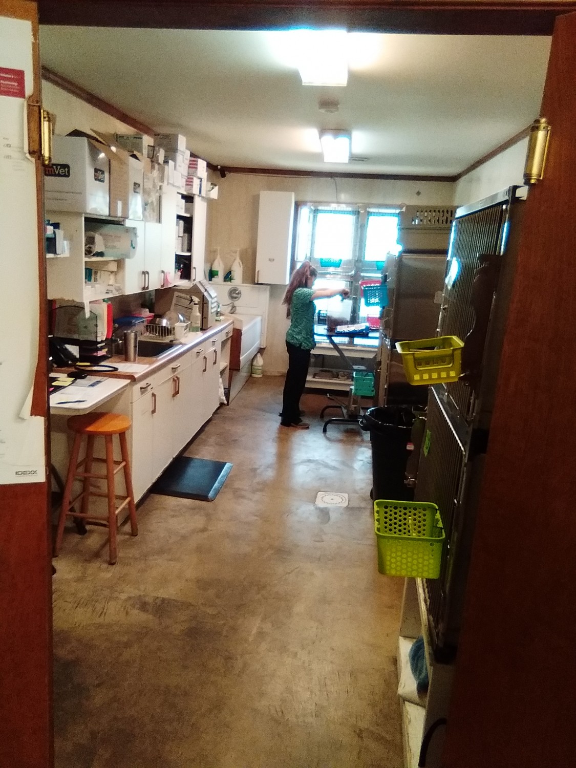 Hospital Ward and Lab Animal Health Care Center Arcola, IL